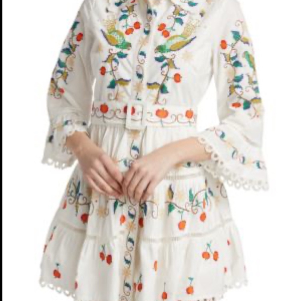 FARM Rio Pitanga White Embroidered Mini Dress Large